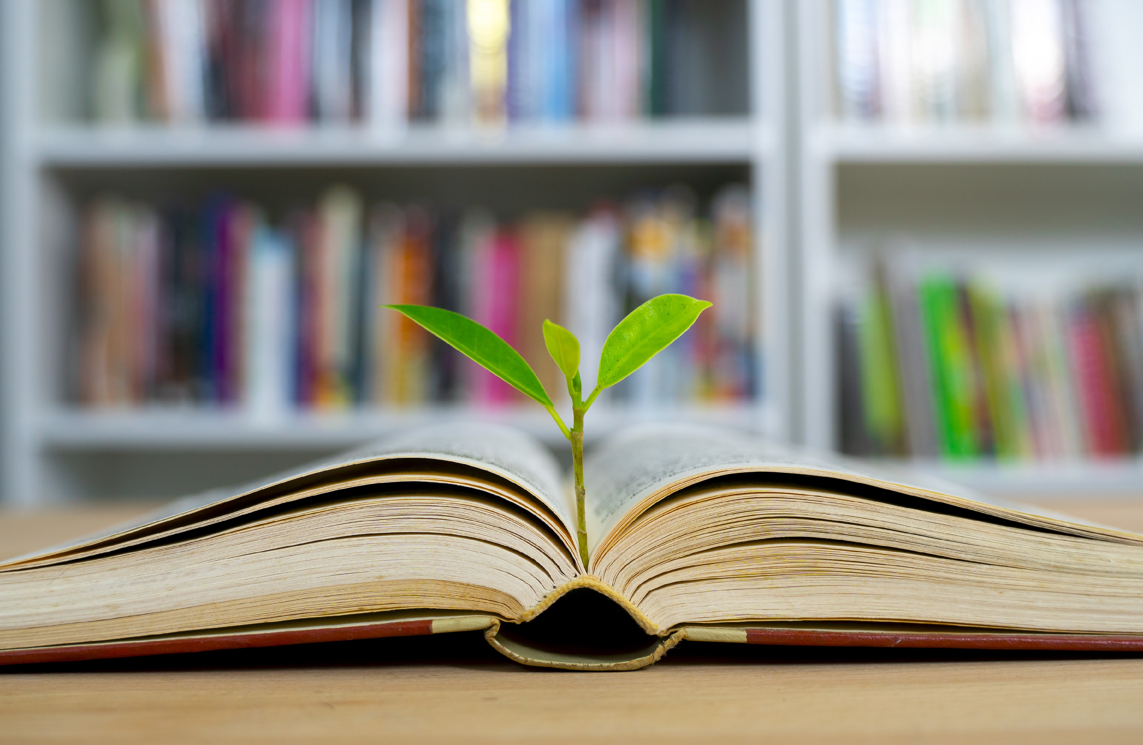 Book Tree